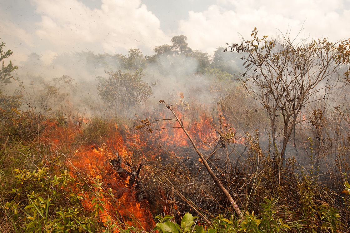 Passage de feu expérimental sur une parcelle de savane des Pripris de Yiyi © Blanchard F