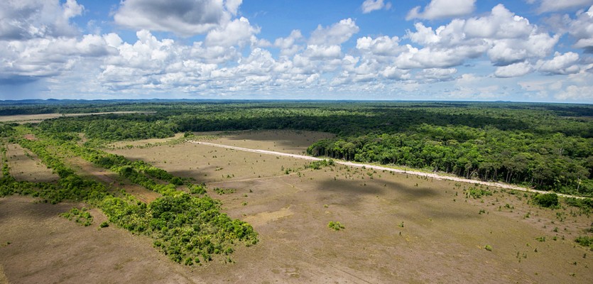 WEB-recadré-savanes-du-gallion-en-octobre-2014_©guillaume-feuillet-PAG