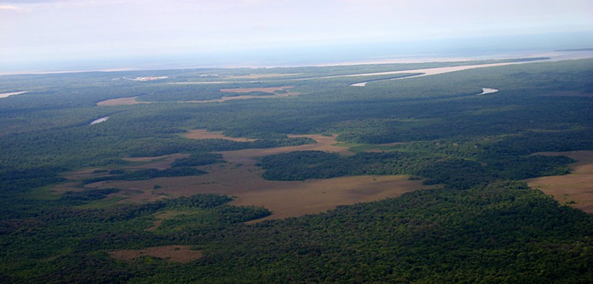 WEB-recadré-savanes-littorales-vues-du-ciel-entre-forêt-et-océan-©-Stier-A---GEPOG