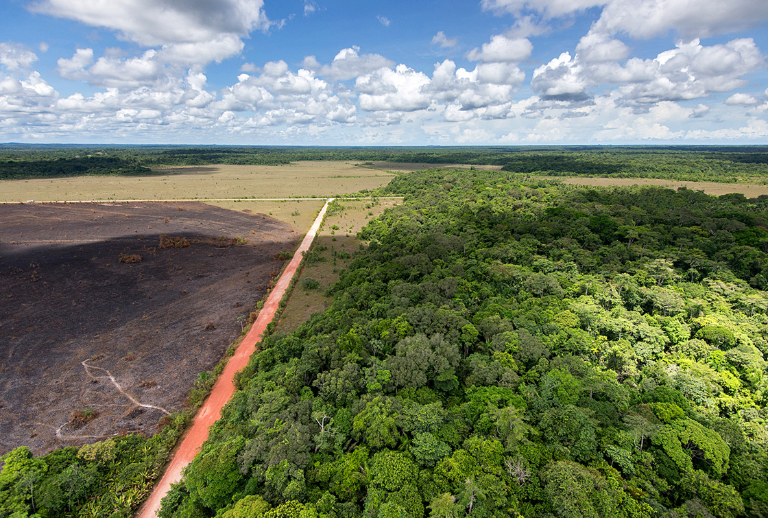 la guyane paysage