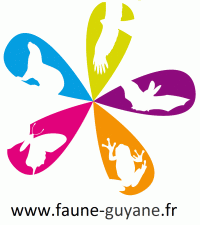 logo_visionature_fauneguyane